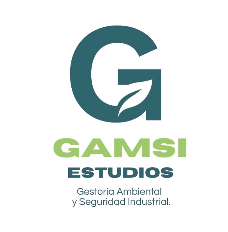 GAMSI ESTUDIOS