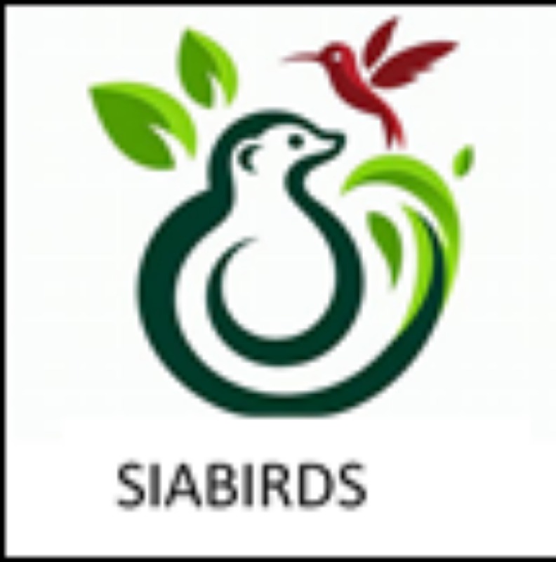 SIABIRDS